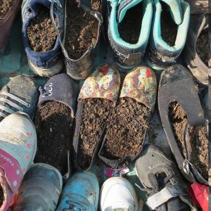 پارک ولایت