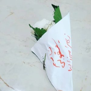 نجمه یعقوبی