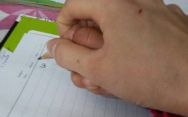 farhang students
