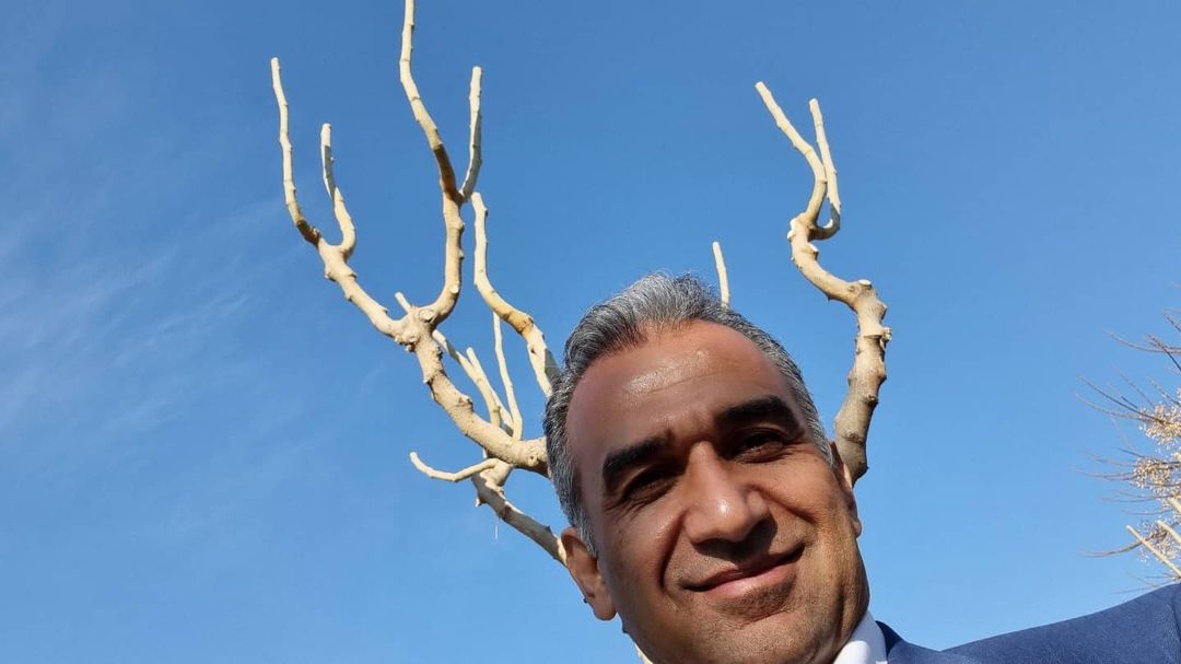 شبکه سحر
