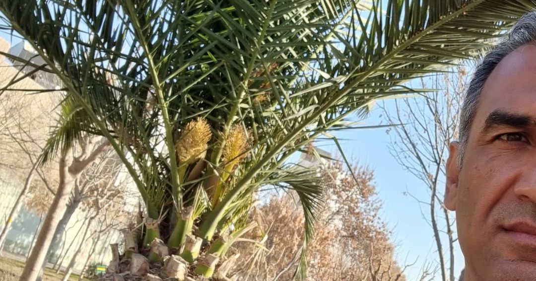 شبکه سحر