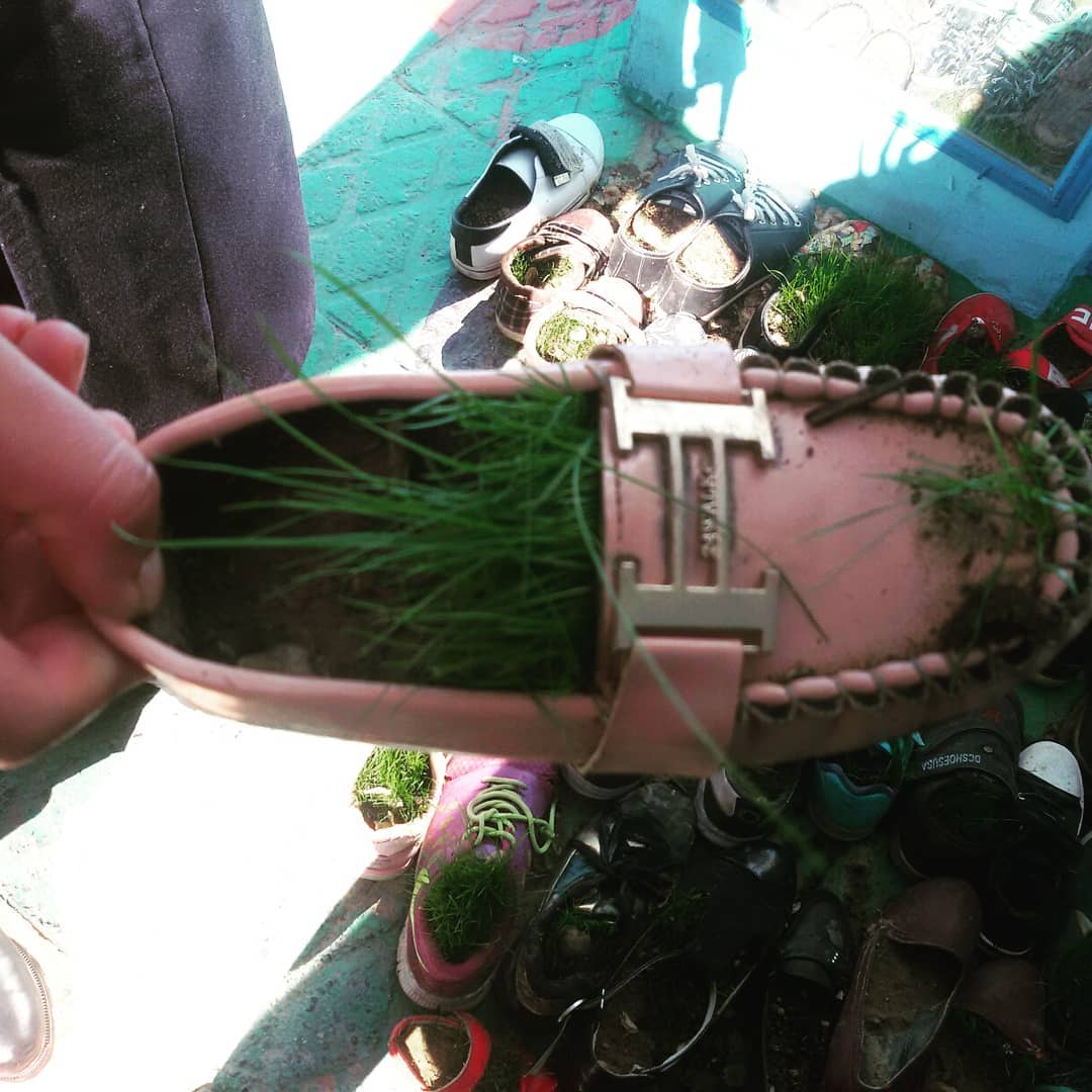 کفش ها