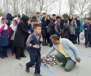 مدرسه فرهنگ